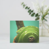 Emerald Postkarte (Stehend Vorderseite)