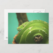 Emerald Postkarte (Vorne/Hinten)