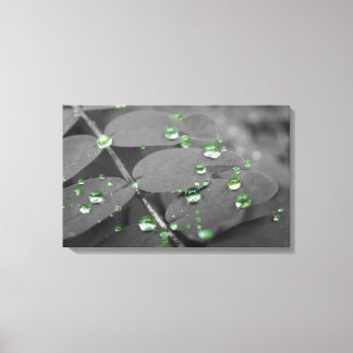 Emerald Rain Drops Leinwanddruck