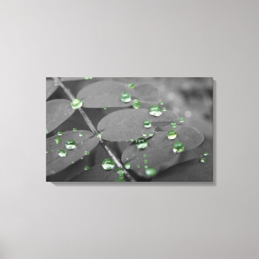 Emerald Rain Drops Leinwanddruck (Vorderseite)