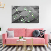 Emerald Rain Drops Leinwanddruck (Insitu (Wohnzimmer))