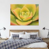 Emerald Succulent Macro Canvas Wall Art Print  Leinwanddruck (Insitu (Schlafzimmer))