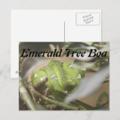 Emerald Tree Boa # 1 Postkarte (Vorne/Hinten)