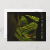 Emerald Tree Boa Indy Zoo Foto Postkarte (Vorne/Hinten)