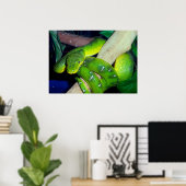 Emerald Tree Boa Poster (Heimbüro)