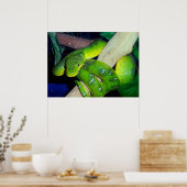 Emerald Tree Boa Poster (Küche)