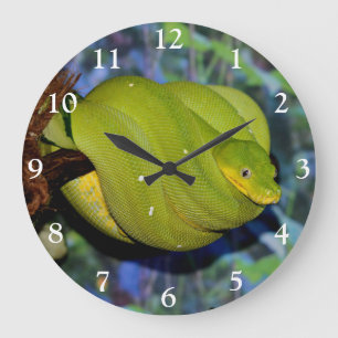 Emerald-Tree-Boa-Schlange Große Wanduhr