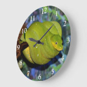 Emerald Tree Boa Snake Große Wanduhr (Winkel)