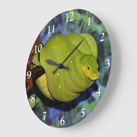 Emerald Tree Boa Snake Große Wanduhr (Winkel)