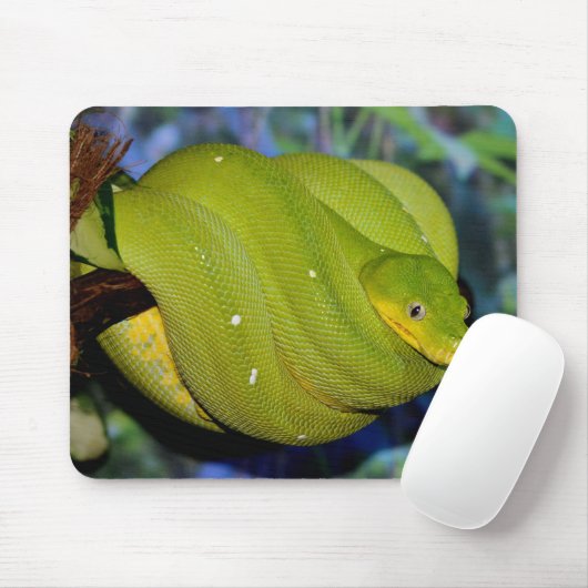 Emerald Tree Boa Snake Mousepad (Mit Mouse)