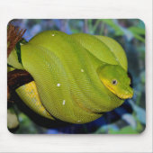 Emerald Tree Boa Snake Mousepad (Vorne)