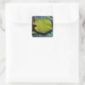 Emerald Tree Boa Snake Quadratischer Aufkleber (Tasche)