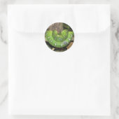 Emerald Tree Boa Snake Sticker (Tasche)