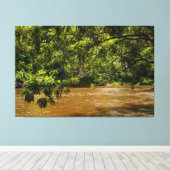 Emerald Veil over Rio Una Leinwanddruck (Insitu (Holzboden))