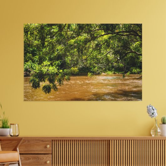 Emerald Veil over Rio Una Leinwanddruck (Insitu (Wohnzimmer))