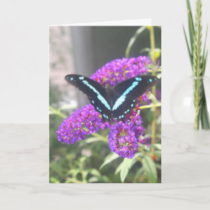 Emerging Butterfly Sister Birthday Card Karte