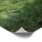 Emerging Strength - Lope the Silverback Poster (Ecke)