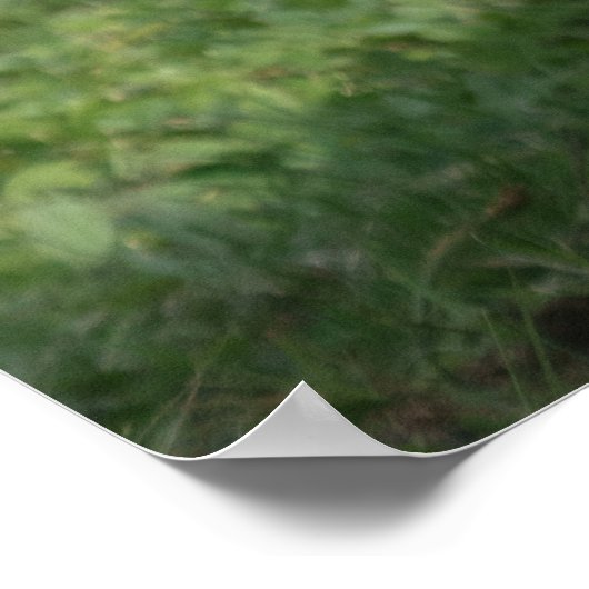 Emerging Strength - Lope the Silverback Poster (Ecke)