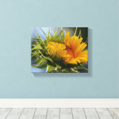 Emerging Sunflower Leinwanddruck (Insitu (Holzboden))