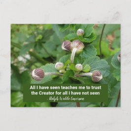 Emerson Quote Blume buds Faith Trust the Creator Postkarte