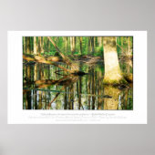 Emerson Quote Poster (Vorne)