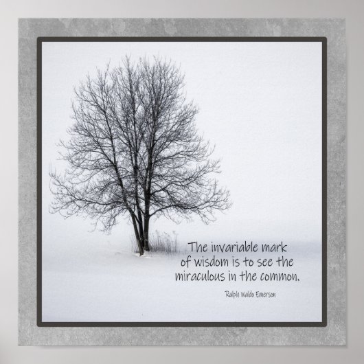 Emerson Zitat, um das Wunder zu sehen Poster (Vorne)