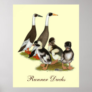 Emery gestrichelte Runner-Entenfamilie Poster