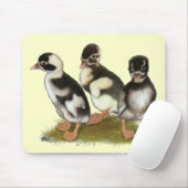 Emery Penciled Runner Ducklings Mousepad (Mit Mouse)
