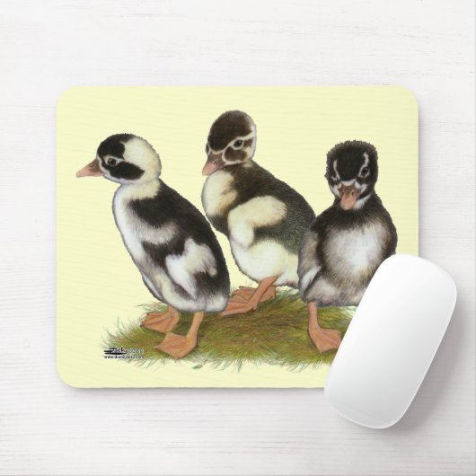 Emery Penciled Runner Ducklings Mousepad (Mit Mouse)