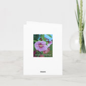 Emil Noldes Blumengarten Karte (Rückseite)