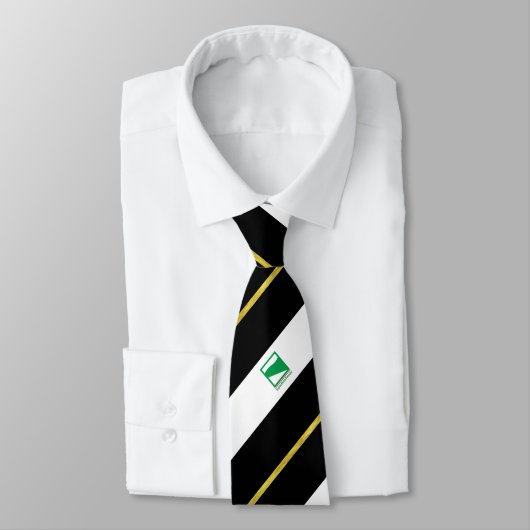 Emilia Romagna-Streifenflagge Krawatte (Gebunden)