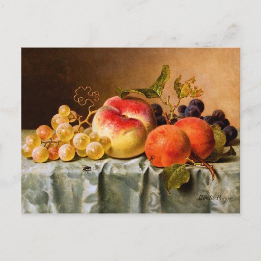Emilie Preyer: Früchte mit Fliege Postkarte (Vorderseite)