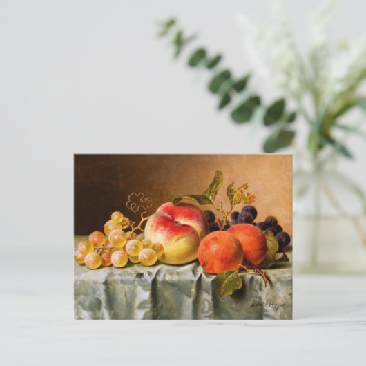 Emilie Preyer: Früchte mit Fly Postkarte (Stehend Vorderseite)