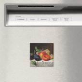 Emilie Preyer: Obst und Fly Magnet (In Situ (Geschirrspüler))