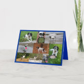 Emily card dankeskarte (Vorderseite)