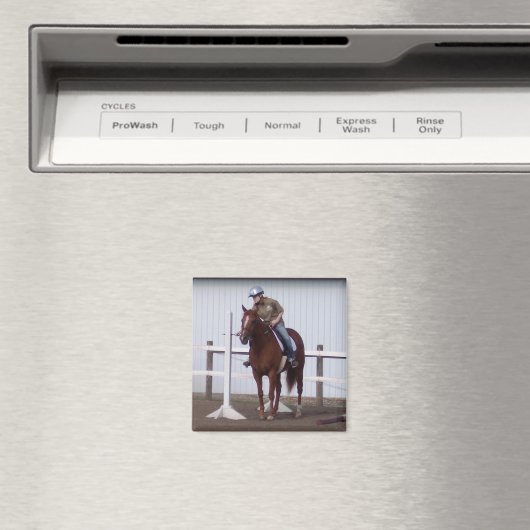 EMILY WÄHREND DER GESCHÄFTSZEIGE MAGNET (In Situ (Geschirrspüler))