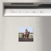 EMILY WÄHREND DER SCHWÄGUNG MAGNET (In Situ (Geschirrspüler))