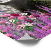 Emma in Blume I - Little Gray Kitty Cat Poster (Ecke)