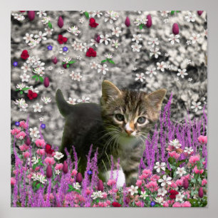 Emma in Blume I - Little Gray Kitty Cat Poster