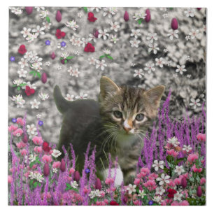 Emma in den Blumen I - kleine graue Kitty-Katze Fliese