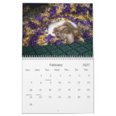 Emma-Kalender 2008 Kalender (Feb 2027)