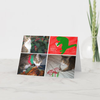 EMMA MBX5 Cards Feiertagskarte