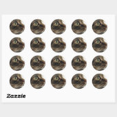 Emma Nah-up Cat Foto Stickers (Blatt)