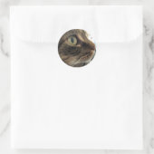 Emma Nah-up Cat Foto Stickers (Tasche)
