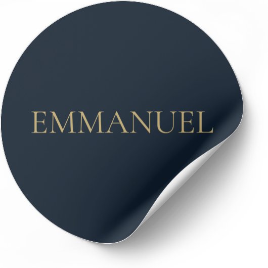 EMMANUEL Navy  Christmas Sticker #3  
