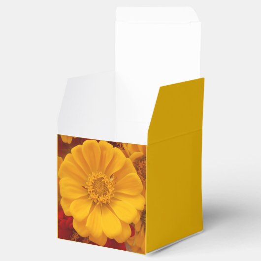 Emmeline Geschenkschachtel (Geöffnet)