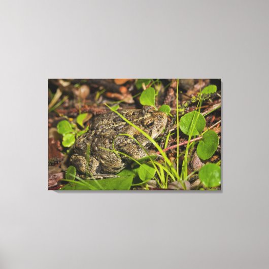 Emonton, Alberta, Canada Leinwanddruck (Vorderseite)