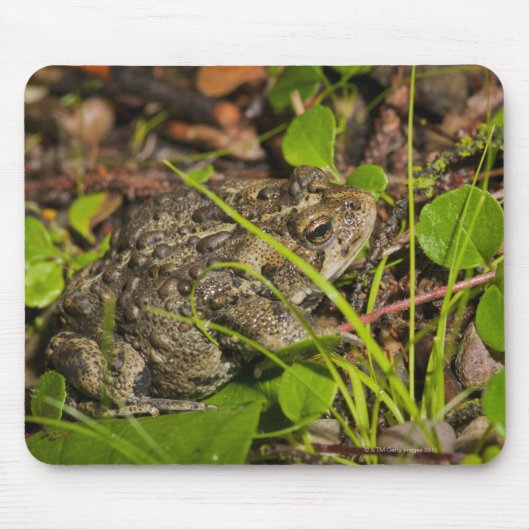 Emonton, Alberta, Canada Mousepad (Vorne)