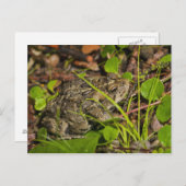 Emonton, Alberta, Canada Postkarte (Vorne/Hinten)