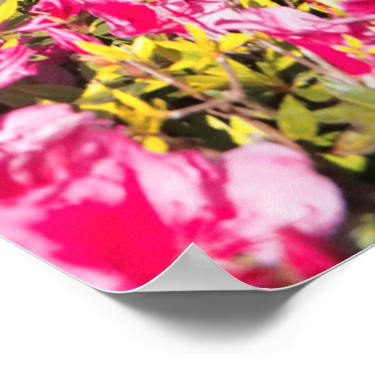 Empadadas Lakes, Azores Poster (Ecke)